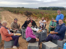 espana/castilla-y-leon/20261005/amor-terruno-trabajos-gran-escala-vendimiar-familia-aun-conserva-ribera-duero_465844