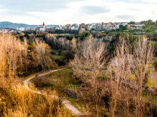 estilo-vida/viajar/20261008/ruta-molinos-alborache-paseo-perfecto-junto-rio-interior-valencia_466554