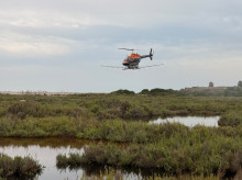 espana/comunidad-valenciana/20261007/asi-lucha-diputacion-castellon-tierra-aire-contra-plagas-mosquitos_467105