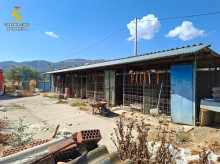 espana/castilla-la-mancha/20261009/detienen-hombre-talavera-reina-hallazgo-14-perros-muertos-encerrados-abandonados_468062