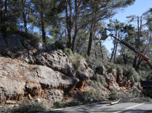 espana/baleares/20261009/muere-piloto-despenarse-barranco-rally-mallorca_468076