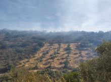 espana/la-voz-de-cordoba/provincia/20261010/declarado-incendio-forestal-paraje-hoyo-fuente-obejuna_468368