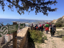 espana/comunidad-valenciana/20261013/alicante-activa-senderos-otono-anillamiento-aves-marjal-ruta-agua-casco-antiguo_468947