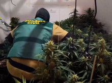 espana/andalucia/20261013/detenidas-dos-personas-almeria-intervenir-120-plantas-cannabis-vivienda-reincidente_469029