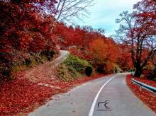 estilo-vida/viajar/20261015/ruta-coche-sierra-san-vicente-pueblos-encanto-bosques-miradores-leyendas-sobre-viriato_469534