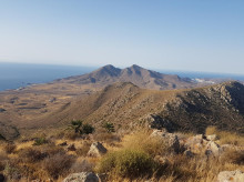 espana/andalucia/20261019/ruta-almeria-lleva-interior-antiguo-volcan-paseo-cinco-kilometros_470296