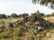 campo-y-caza/20261019/majano_470309