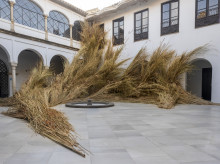 espana/la-voz-de-cordoba/cultura/20261017/flora-tiene-ganadores-primero-instalacion-palacio-orive-segunda-diputacion_470630