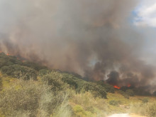 espana/la-voz-de-cordoba/provincia/20261017/estabilizado-incendio-luque-intervencion-tres-medios-aereos_470807