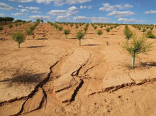 sociedad/sociedad-medio-ambiente/20261022/superficie-25-mayor-cataluna-esta-amenazada-erosion-aumenta-riesgo-desertificacion_470911