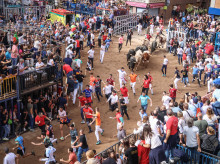 espana/comunidad-valenciana/20261019/punt-retransmite-encierros-fira-donda-toros-tres-ganaderias-primer-nivel_471151