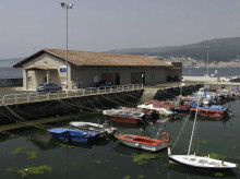 espana/galicia/20261020/hombre-armado-cuchillo-siembra-caos-lonja-poyo_471532