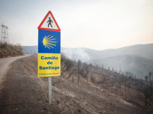 espana/galicia/20261020/estas-son-rutas-camino-santiago-regulara-xunta-antes-xacobeo_471688