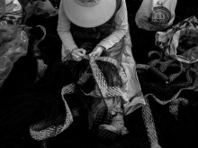 espana/galicia/20261025/redeiras-mujeres-mar-mantienen-vivo-oficio-tradicional-galicia_473591