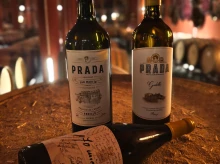espana/castilla-y-leon/20261026/vino-bierzo-corona-como-mejor-godello-espana-96-puntos_474075