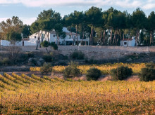 espana/comunidad-valenciana/20261030/bodegas-subterraneas-catas-vinedos-ruta-enoturismo-sorprende-utielrequena_475237