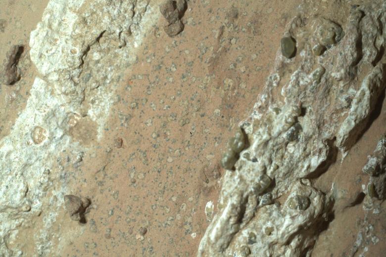 Una imagen tomada por el rover Perseverance de la NASA que muestra "manchas de leopardo" en una roca rojiza de Marte