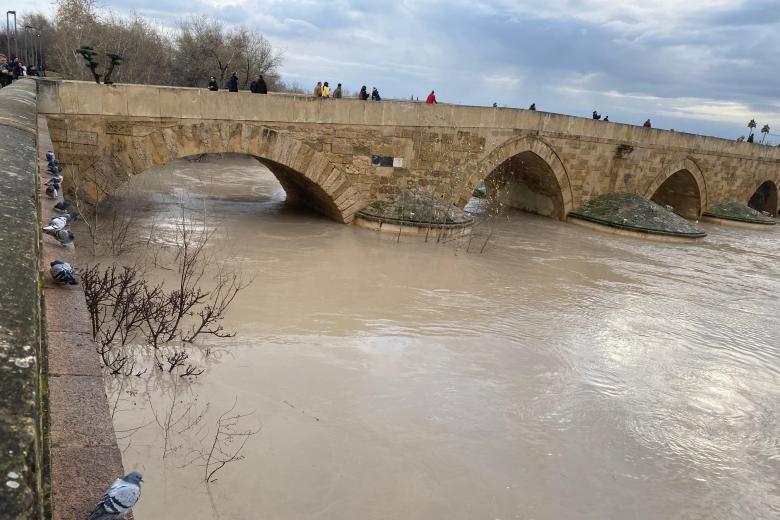 Estado del Guadalquivir el 5 de febrero de 2026 a su paso por Córdoba con 5,5 metros de altura