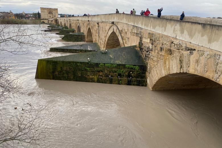 Estado del Guadalquivir el 5 de febrero de 2026 a su paso por Córdoba con 5,5 metros de altura