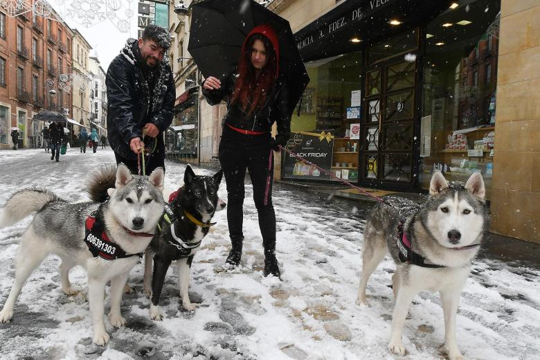 Dos personas pasean con sus perros bajo una intensa nevada este sábado en León