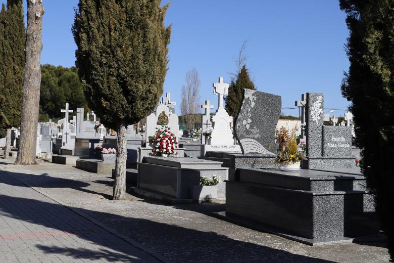 Imagen del cementerio de Traspinedo