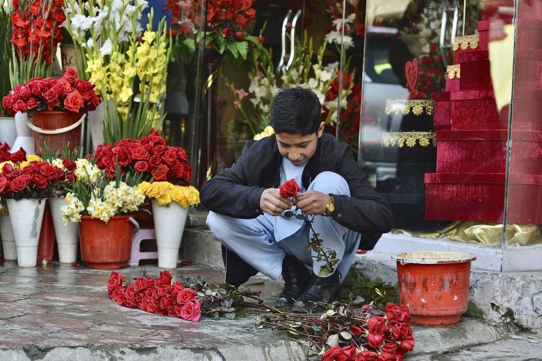 Un joven vendedor arregla rosas en una floristería el día de San Valentín en Kabul