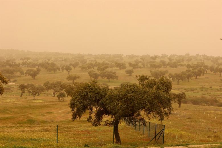 Vista de la finca El Toril, en las cercanías de Mérida que este martes ha amanecido cubierta por el polvo en suspensión procedente del desierto del Sáhara . La llegada de una lengua de polvo en suspensión procedente del desierto del Sáhara, impulsada por los vientos de la borrasca Celia, ha elevado a la categoría de "muy desfavorable" y "desfavorable" la calidad del aire en varias zona de Extremadura por los altos niveles de concentración de partículas PM10