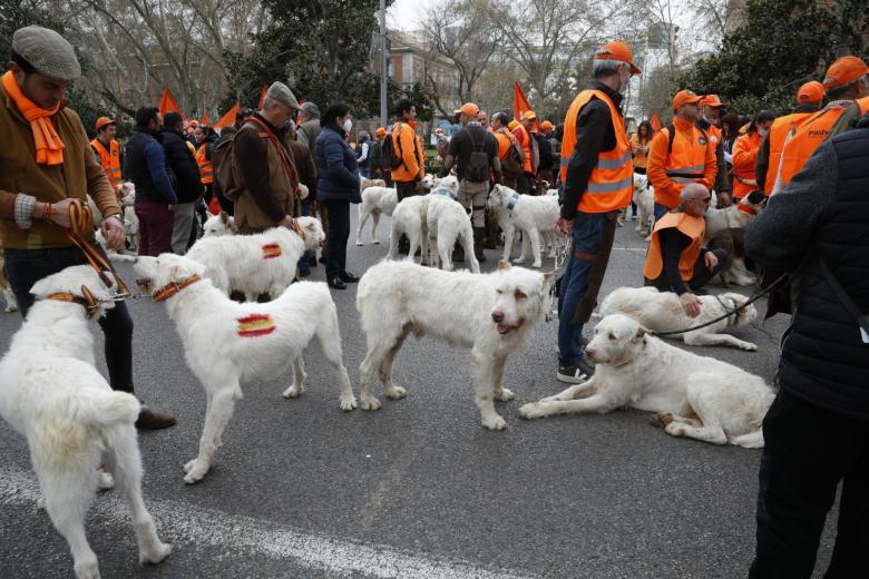 Del campo a la ciudad: los perros también han sido protagonistas en la marcha