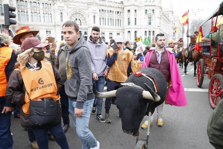 El campo bravo, el toro de lidia y la tauromaquia también está representada en Madrid