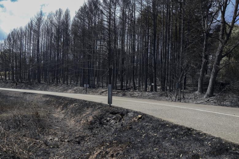 Vista general de los daños producidos por el incendio en Villardeciervos (Zamora), en la sierra de la Culebra