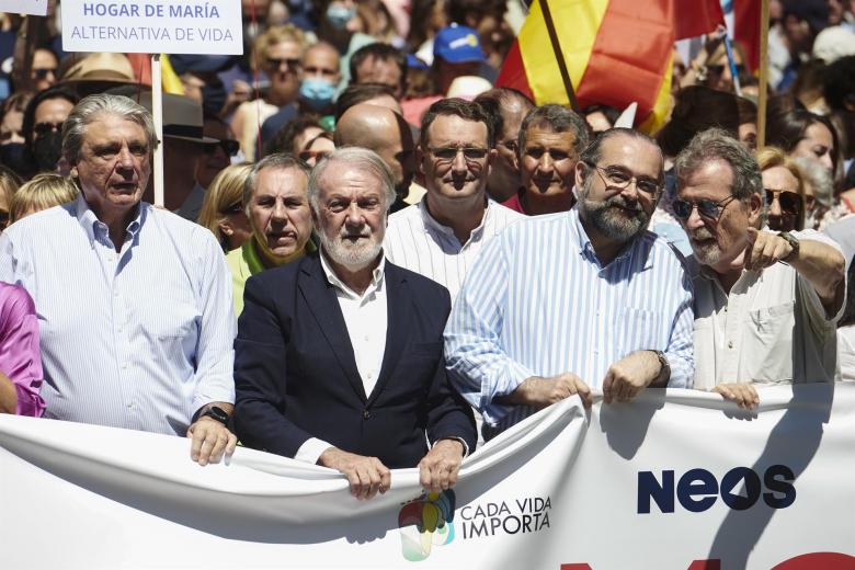 Manifestación provida en Madrid