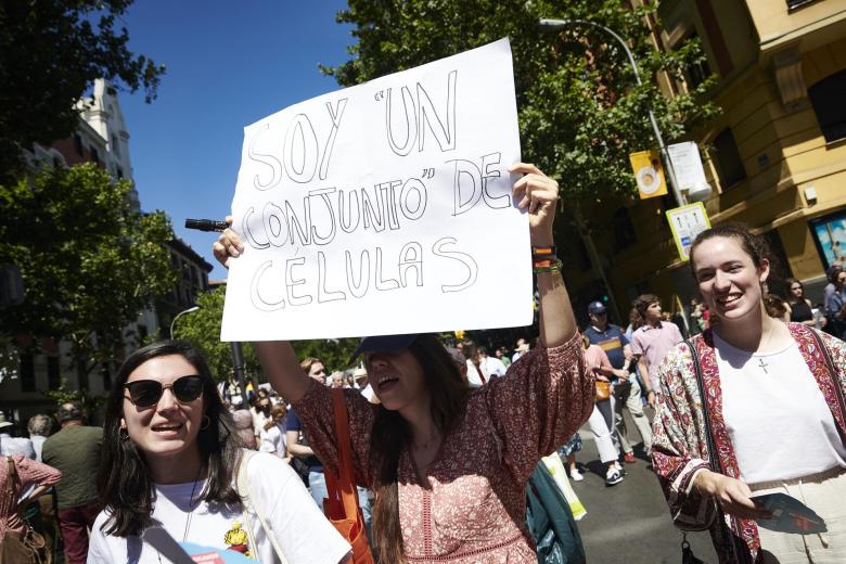 Manifestación provida en Madrid