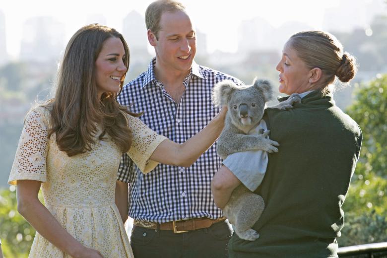 Britain's Prince William and Kate Middleton, the Duke and Duchess of Cambridge during a visit to Sydney's TarongaZoo, Australia Sunday, April 20, 2014
En la foto, co un koala.