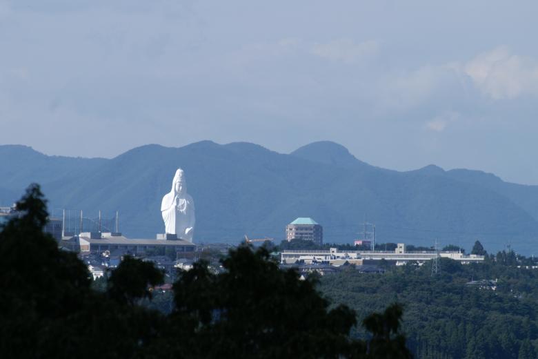 La Sendai Daikannon (仙台 大観音 lit. La gran Kannon de Sendai?) es una estatua de la diosa Kannon ubicada en la ciudad de Sendai, prefectura de Miyagi.1​ Se trata de la estatua más alta de Kannon en el mundo y la estatua más alta de una diosa en Japón, así como también la quinta estatua más alta del mundo (100 metros) desde 2008.2​

En el momento de su finalización en 1991, era la estatua más alta del mundo. Un ascensor transporta a los visitantes hacia la parte superior, desde donde se puede contemplar la ciudad de Sendai. La estatua porta en su mano derecha la gema de los deseos nyoihōju, mientras que en la izquierda sostiene un matraz de agua.