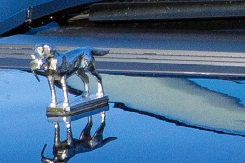 Detalle de la mascota que lucía sobre sus innumerables Range Rover, en este caso un perro labrador con un faisán en la boca. Todas las mascotas se hacen en la fundición AE Lejeune, en funcionamiento desde 1910