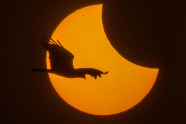 Vista del eclipse solar parcial visto en Mumbai, India