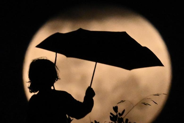 La silueta de un niño ante la luna durante la noche del 7 de noviembre, un día antes del eclipse de luna total, en el parque Stanwell en Sídney