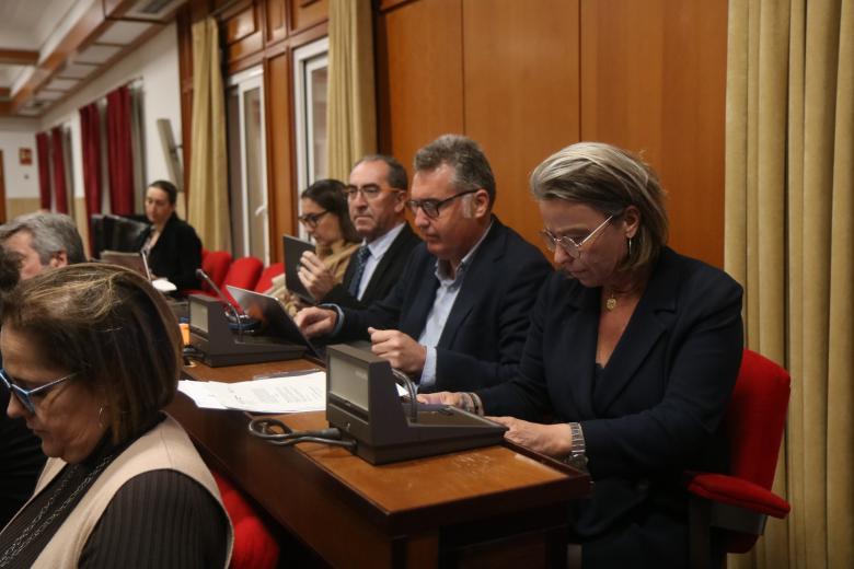 Pleno del Ayuntamiento de Córdoba