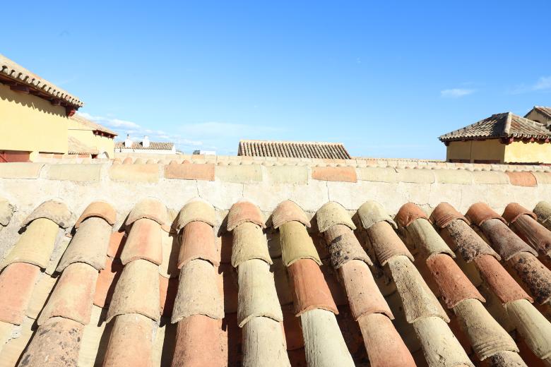 Visita a las cubiertas y tejados de la Mezquita-Catedral