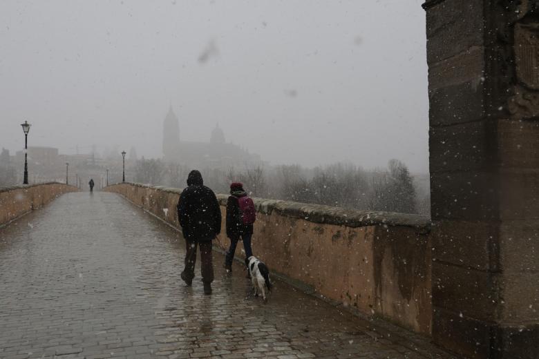 El puente romano de Salamanca, durante la nevada que ha caído hoy en la capital. La nieve ha dificultado el tráfico en la comunidad de Castilla y León especialmente.