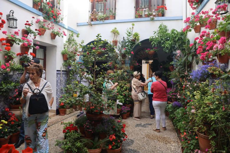 Los Patios De Córdoba 2023 Un Paseo Por La Ruta Regina Realejo 6122