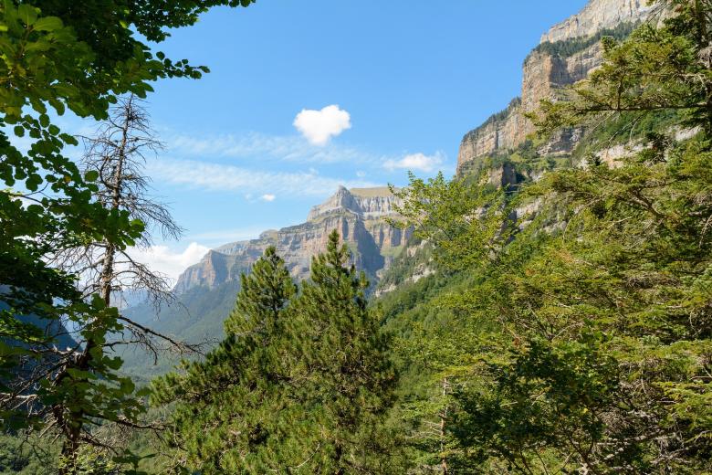 Parque nacional de Ordesa y Monte Perdido, 10 228 reseñas. Con más de 10 200 reseñas, el parque nacional de Ordesa y Monte Perdido no podía faltar en la clasificación de Musement. Situado en el corazón de los Pirineos, los cuatros valles del parque (Ordesa, Añisclo, Escuaín y Pineta) y el pico de Monte Perdido regalan paisajes espectaculares durante todo el año. El Tozal del Mallo, la Cascada del Estrecho, el Bosque de las Hayas, el Cañón de Añisco o las Gargantas de Escuaín, son solo algunas de las muchas sorpresas que esperan a los visitantes.