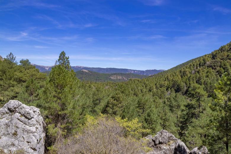 Parque natural de las Sierras de Cazorla, Segura y Las Villas, 10 192 reseñas. Con más de 200 000 hectáreas, este parque natural situado en la provincia de Jaén, es la zona protegida más grande de toda España y la segunda de Europa. Lugar de nacimiento de los ríos Guadalquivir y Segura, el parque puede presumir de una enorme variedad de paisajes, donde los picos escarpados se alternan con valles profundos y bosques frondosos. Además, también vale la pena sacar tiempo para visitar algunos de sus muchos atractivos culturales e históricos, como por ejemplo los castillos de Segura de la Sierra y de Iruela o la Cámara Sepulcral Ibérica de Toya.