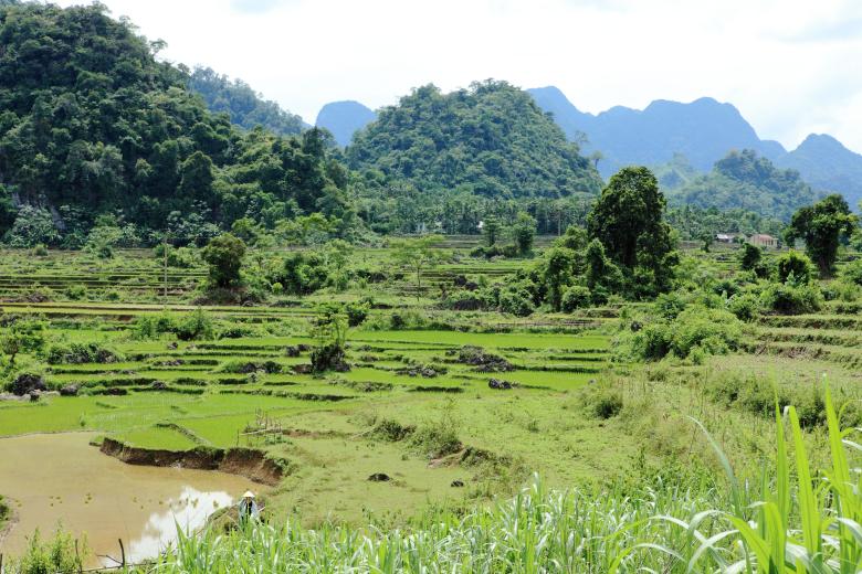 Laos