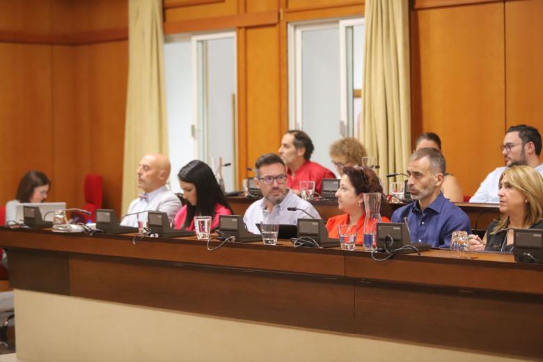 El Pleno del Ayuntamiento de Córdoba, en imágenes