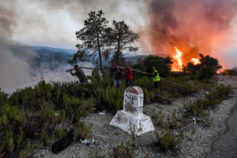 Los bomberos intentan extinguir un incendio forestal cerca de la ciudad de Melloula, en el noroeste de Túnez