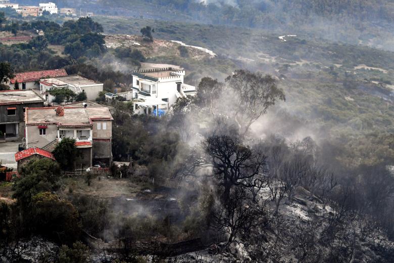 Los árboles quemados se alzan tras un incendio forestal cerca de la ciudad de Melloula, en el noroeste de Túnez, cerca de la frontera con Argelia