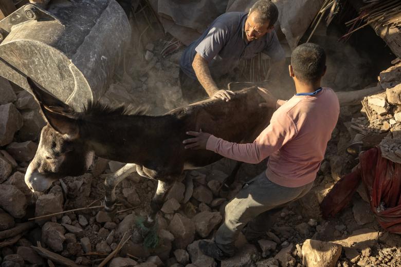 A villager searches for survivors amidst the rubble after an earthquake in the mountain village of Tafeghaghte, southwest of the city of Marrakesh, on September 9, 2023. - Morocco's deadliest earthquake in decades has killed more than 1,300 people, authorities said on September 9, as troops and emergency services scrambled to reach remote mountain villages where casualties are still feared trapped. (Photo by FADEL SENNA / AFP)