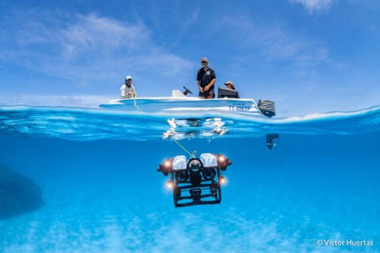 Explorando las profundidades. Investigadores del Laboratorio de Ecología de Hoey Reef despliegan un ROV submarino en Diamond Reef dentro del Parque Marino del Mar del Coral