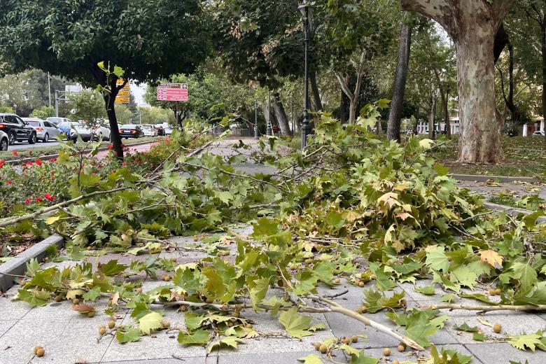 Las incidencias causadas por el temporal en imágenes